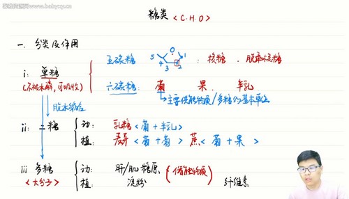 2025学年高考生物万猛一轮试听课