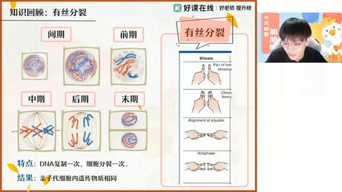 好课在线2024学年高一生物邓康尧春季A+班