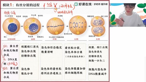 作业帮2024学年高一生物邓康尧寒假班