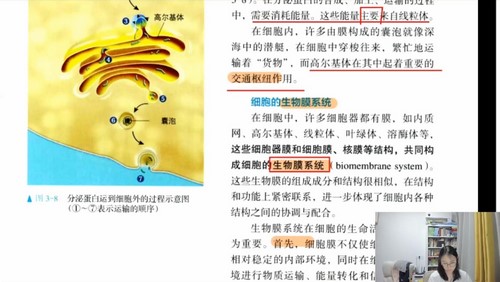 2024年高考生物周芳煜直播答疑课