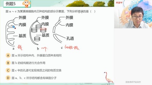 希望学2023学年高一生物全国版张继光暑期A+班