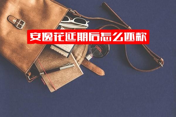 安逸花延期后还款详解：办理申请后需一次性结清吗？延期有利息吗？