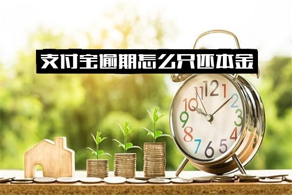 支付宝逾期后怎么只还本金？能否不还利息及具体操作？