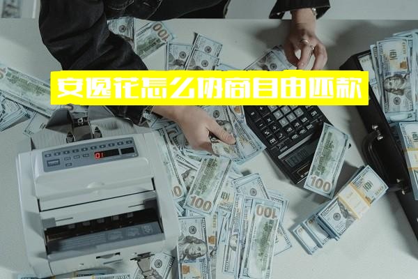 安逸花协商还款全攻略：自由还款与延期还款技巧，成功案例及可行性解析