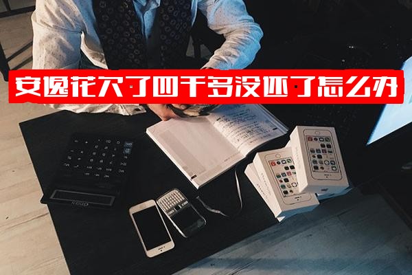 安逸花欠款几千至八千逾期数月怎么办？利息高达三千多会找上门吗？