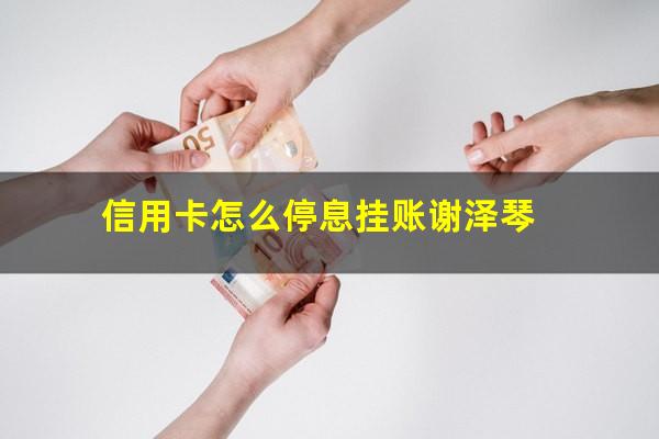 信用卡怎么停息挂账 有固定工作?信用卡怎么停息挂账谢泽琴?