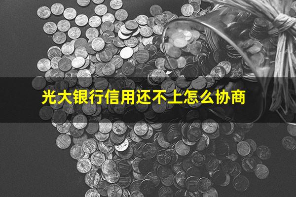 <a href=https://wufkn.cn/tag/guangdayinxingxinyongqia target=_blank class=infotextkey>光大<a href=https://wufkn.cn/tag/yinxingxinyongqia target=_blank class=infotextkey>银行信用卡</a></a> 逾期?光大银行信用还不上怎么协商?