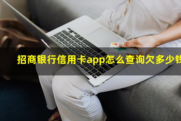招商银行怎么查信用卡后期还款?招商银行信用卡app怎么查询欠多少钱?