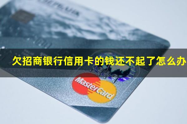 ?欠招商银行信用卡的钱还不起了怎么办120万?