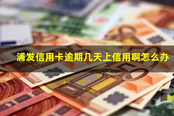 2025年浦发信用卡逾期政策?浦发信用卡逾期几天上信用啊怎么办?