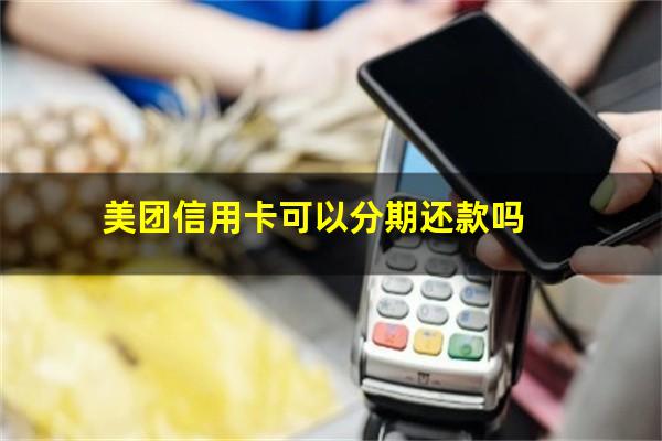 <a href=https://wufkn.cn/tag/guangdayinxingxinyongqia target=_blank class=infotextkey>光大<a href=https://wufkn.cn/tag/yinxingxinyongqia target=_blank class=infotextkey>银行信用卡</a></a>可以分期还款吗?美团信用卡可以分期还款吗?